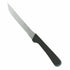 Thunder Group SLSK108 4 3/4" Blade Pointed Tip Steak Knife, Plastic Handle