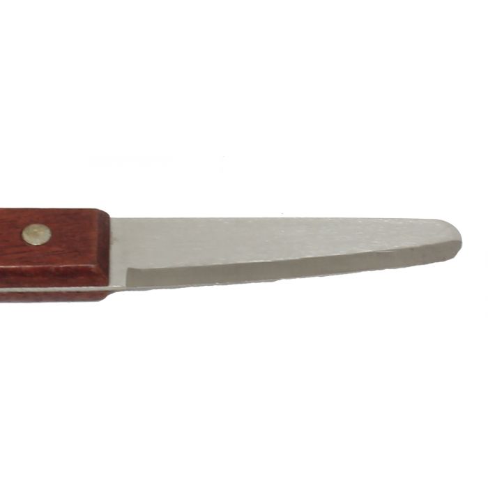 Thunder Group SLTWCK007 Stainless Steel Clam Knife with Wooden Handle